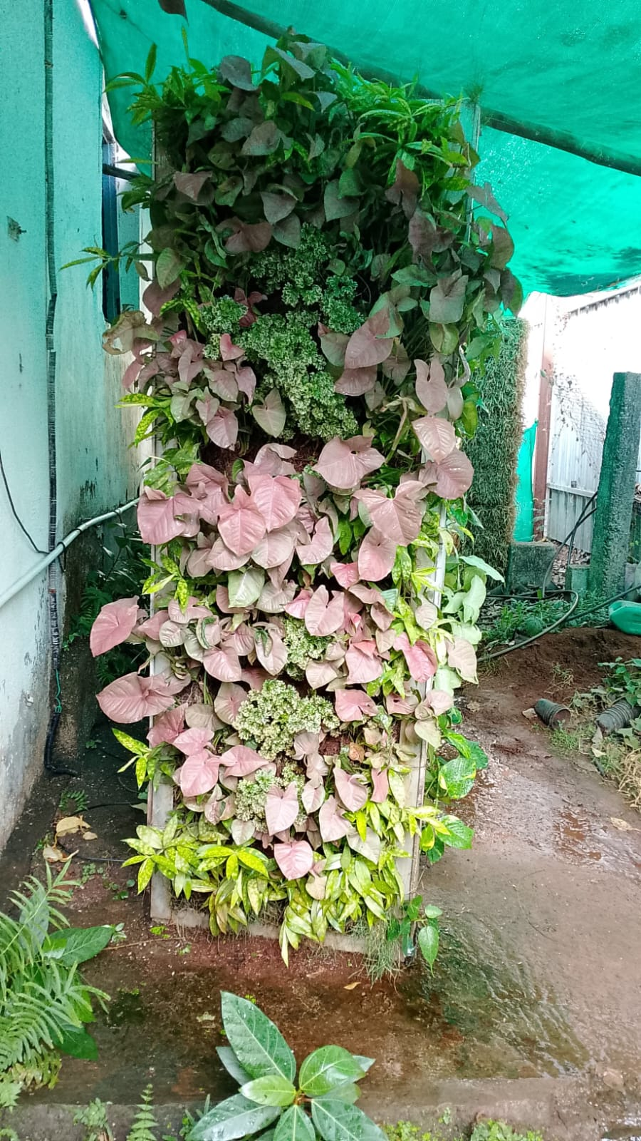 Vertical Garden preview 3